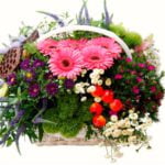 סידור גינה גדול