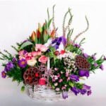 גוונים של פריחות