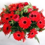 זר כיפה אדומה