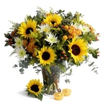 זר שקיעת חמה