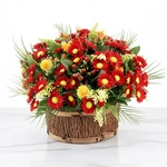 סידור פרחים אור השחר