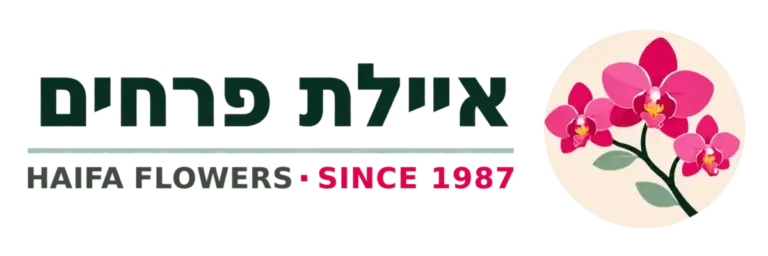 איילת פרחים - חנות ומשלוחי פרחים בחיפה והכרמל