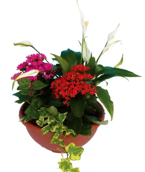 3-enhanced-1763860274