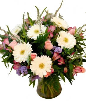 mg_0708-enhanced-1763921639