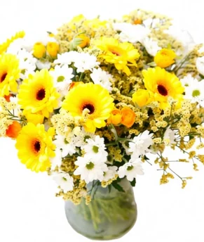 mg_0802-enhanced-1763922135